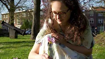 Embedded video: Tabea kneeling on grass in a park, dutch houses in the background, she looks down to a purple crocus in her hand, smiling